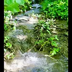 Manoir Des Pavements * Lisieux