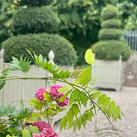 Lejlighed Manoir Des Pavements