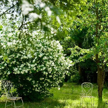 Manoir Des Pavements Appartement