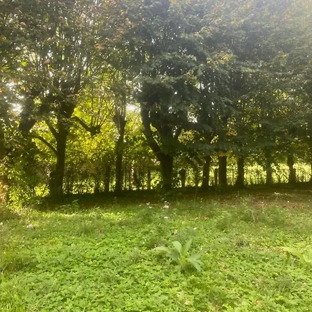 Manoir Des Pavements Appartement Lisieux