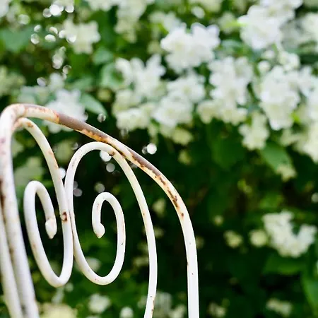 Manoir Des Pavements Appartement *