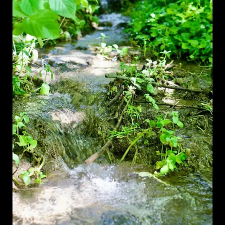 Manoir Des Pavements * Lisieux