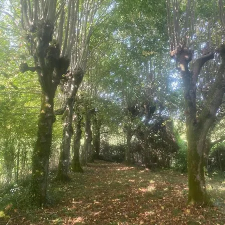 Manoir Des Pavements Appartement *