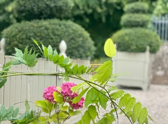 Lägenhet Manoir Des Pavements