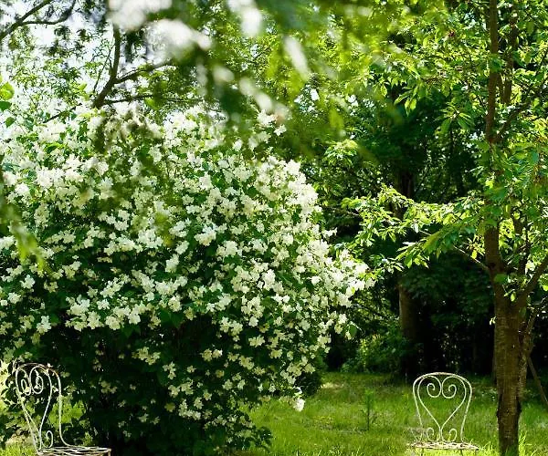 Manoir Des Pavements Lägenhet