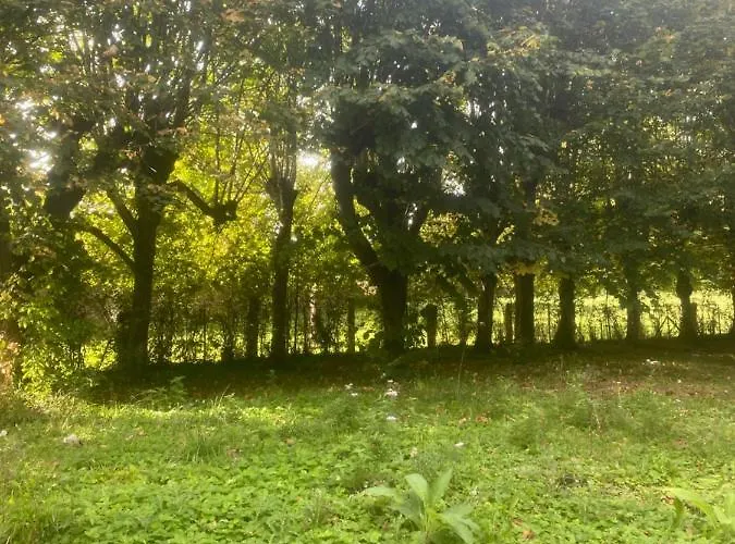 Manoir Des Pavements Lägenhet Lisieux