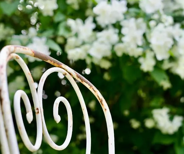 Manoir Des Pavements Lägenhet *