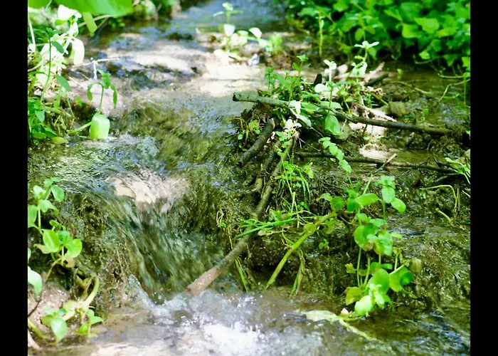 Manoir Des Pavements * Lisieux