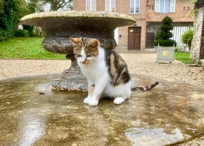 Manoir Des Pavements Lägenhet *
