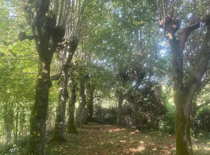 Manoir Des Pavements Lägenhet *